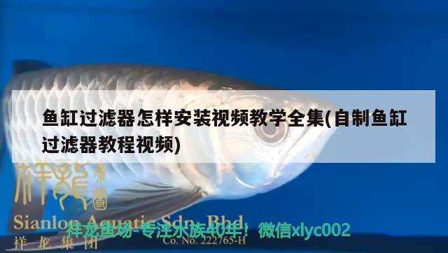 鱼缸过滤器怎样安装视频教学全集(自制鱼缸过滤器教程视频) 龙鱼芯片扫码器