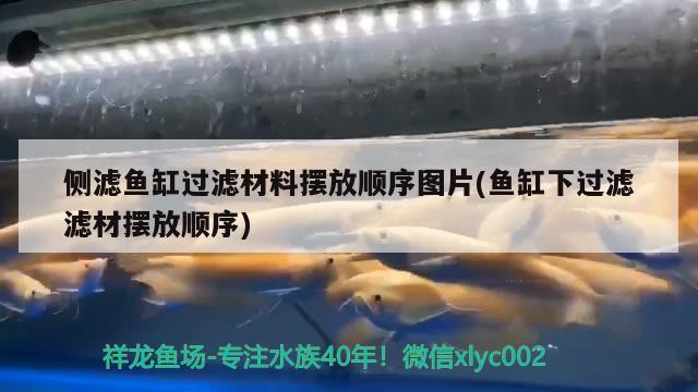 侧滤鱼缸过滤材料摆放顺序图片(鱼缸下过滤滤材摆放顺序) 水族维护服务（上门）