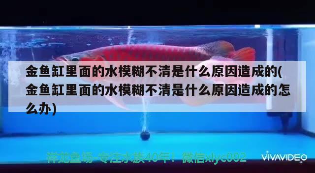 白银区雪裕水景宠物店 全国水族馆企业名录 第2张