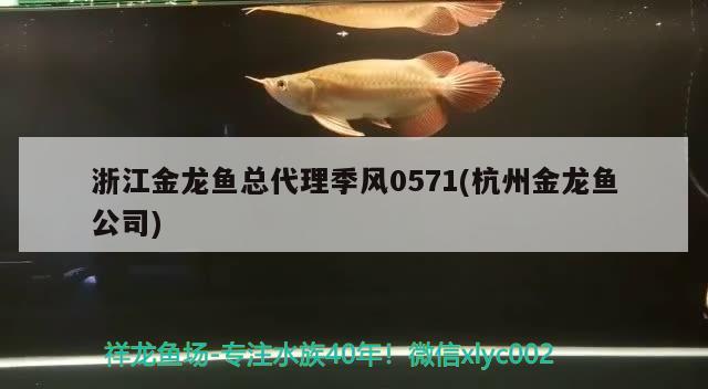 浙江金龙鱼总代理季风0571(杭州金龙鱼公司)