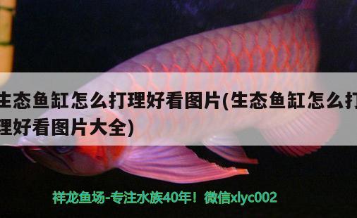 鱼缸里用什么盐消毒最好 鱼缸里用什么盐消毒最好呢 福满钻鱼 第2张