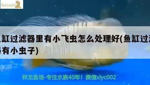 北京白云天水族店 全国水族馆企业名录 第3张