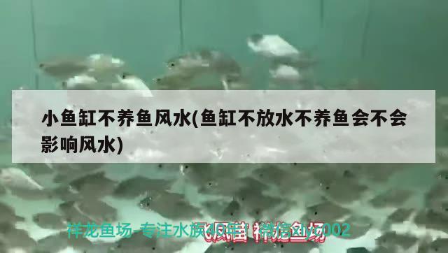 鄂尔多斯水族批发市场在哪里啊电话，我国一共有多少个省 观赏鱼水族批发市场 第3张