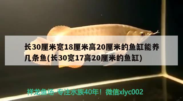 长30厘米宽18厘米高20厘米的鱼缸能养几条鱼(长30宽17高20厘米的鱼缸) 鱼缸风水