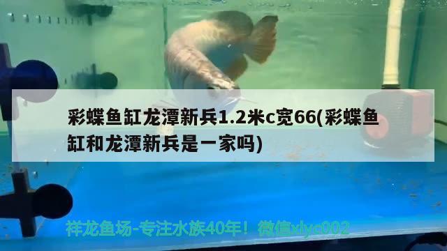 彩蝶鱼缸龙潭新兵1.2米c宽66(彩蝶鱼缸和龙潭新兵是一家吗)