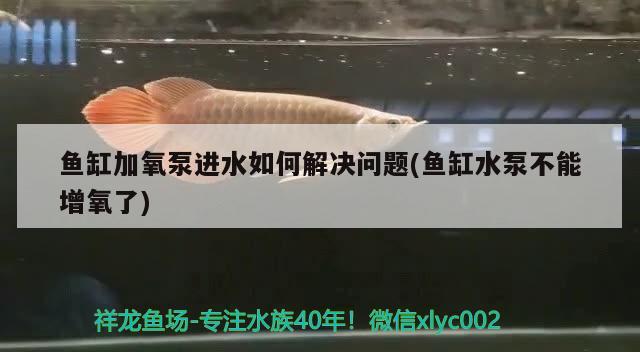 鱼缸加氧泵进水如何解决问题(鱼缸水泵不能增氧了) 鱼缸水泵