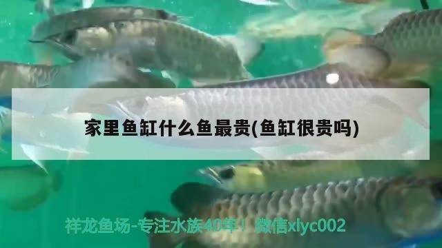 介绍几个好玩的射击类游戏，许嵩的小宇宙是什么意思