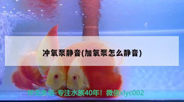 冲氧泵静音(加氧泵怎么静音)