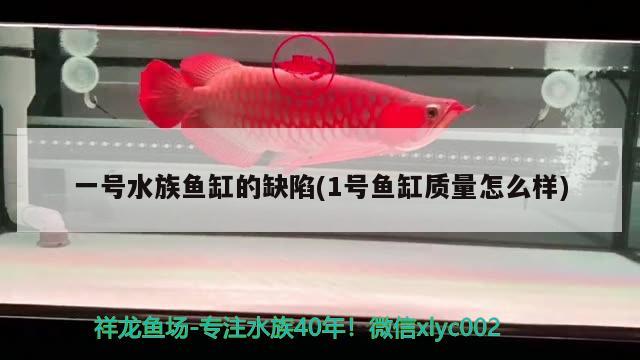 一号水族鱼缸的缺陷(1号鱼缸质量怎么样)