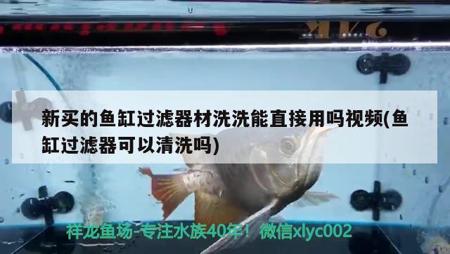 新买的鱼缸过滤器材洗洗能直接用吗视频(鱼缸过滤器可以清洗吗) 飞凤鱼