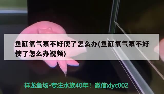 鱼缸氧气泵不好使了怎么办(鱼缸氧气泵不好使了怎么办视频) 锦鲤鱼