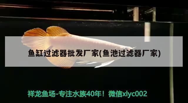 鱼缸过滤器批发厂家(鱼池过滤器厂家) 广州祥龙国际水族贸易 第2张