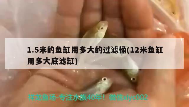 1.5米的鱼缸用多大的过滤桶(12米鱼缸用多大底滤缸) 水族世界