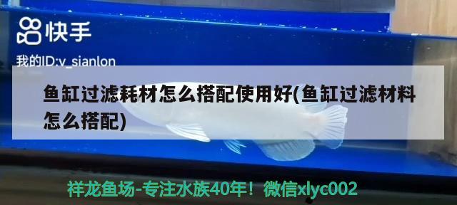 鱼缸过滤耗材怎么搭配使用好(鱼缸过滤材料怎么搭配) 祥龙赫舞红龙鱼