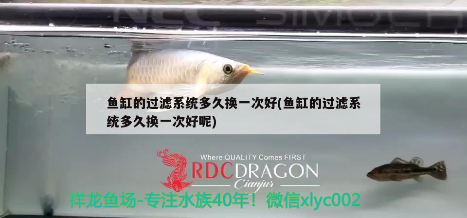 蓝三星鱼：蓝三星鱼可以混养吗 广州水族批发市场 第2张