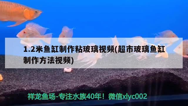 1.2米鱼缸制作粘玻璃视频(超市玻璃鱼缸制作方法视频) 蓝帆三间鱼