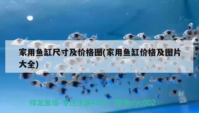 1号水族鱼缸底柜（1号水族鱼缸使用说明） 祥龙水族医院 第3张