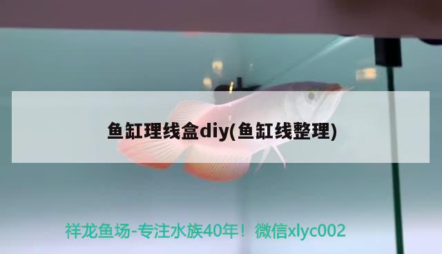 鱼缸理线盒diy(鱼缸线整理) 冲氧泵