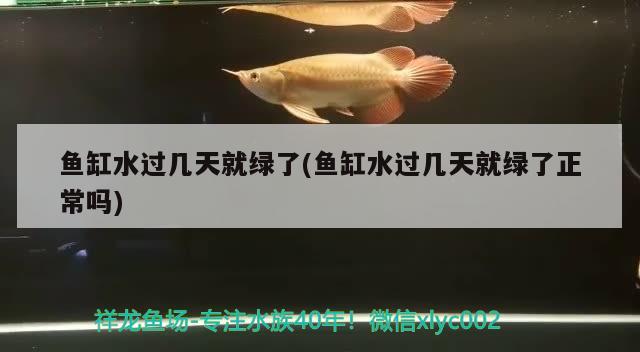 鱼缸水过几天就绿了(鱼缸水过几天就绿了正常吗)