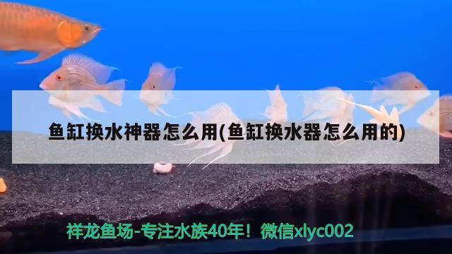 鱼缸换水神器怎么用(鱼缸换水器怎么用的)