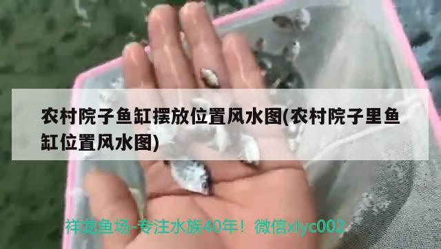 农村院子鱼缸摆放位置风水图(农村院子里鱼缸位置风水图) 鱼缸风水