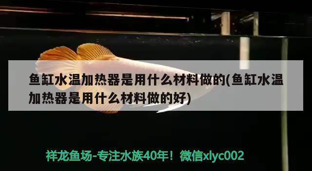 鱼缸水温加热器是用什么材料做的(鱼缸水温加热器是用什么材料做的好)