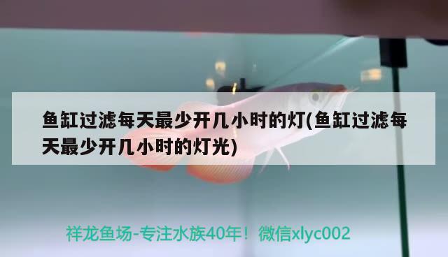 鱼缸过滤每天最少开几小时的灯(鱼缸过滤每天最少开几小时的灯光)