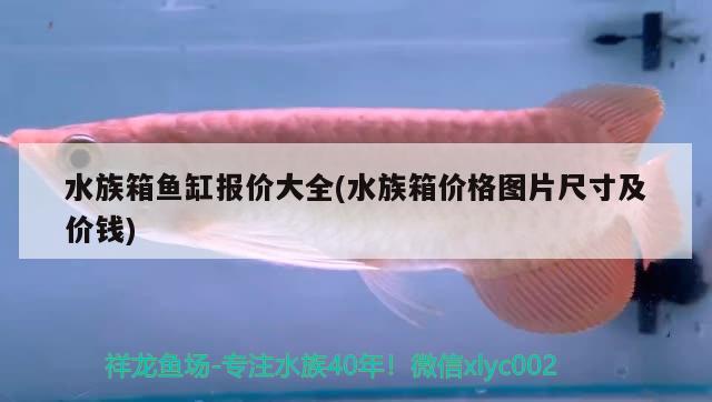 水族箱鱼缸报价大全(水族箱价格图片尺寸及价钱) 鱼缸/水族箱