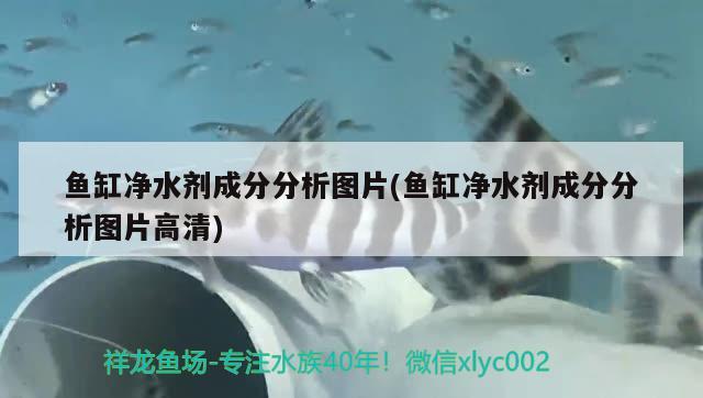 鱼缸净水剂成分分析图片(鱼缸净水剂成分分析图片高清) 羽毛刀鱼苗