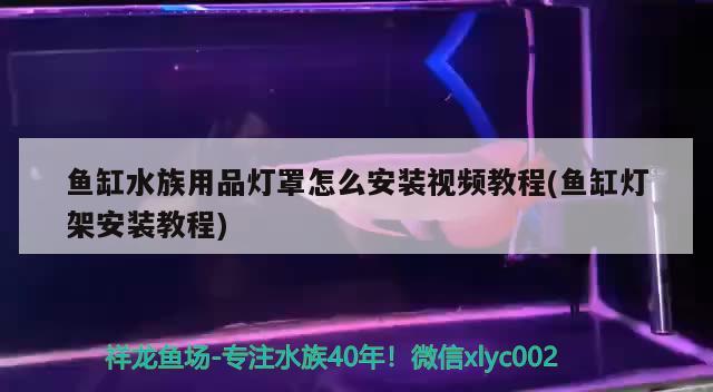 鱼缸水族用品灯罩怎么安装视频教程(鱼缸灯架安装教程) 水族用品