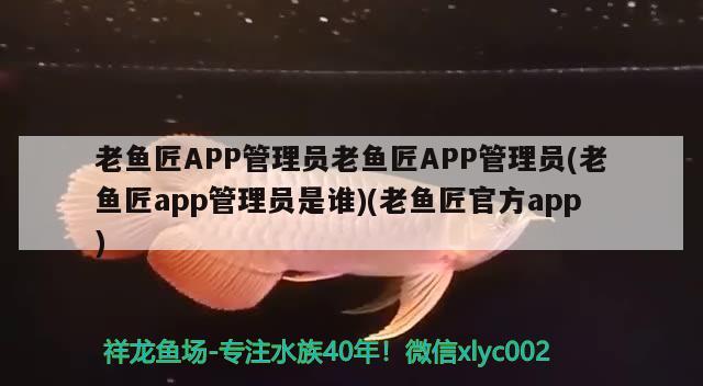 老鱼匠APP管理员老鱼匠APP管理员(老鱼匠app管理员是谁)(老鱼匠官方app)