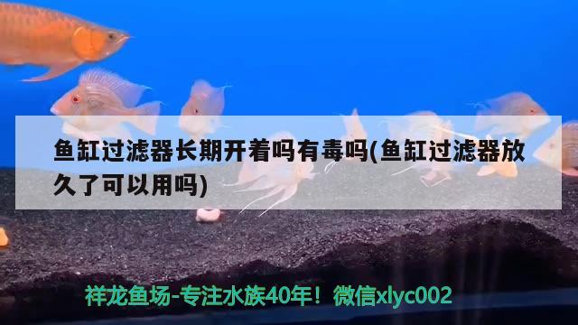 鱼缸过滤器长期开着吗有毒吗(鱼缸过滤器放久了可以用吗) 观赏龟/鳖饲料