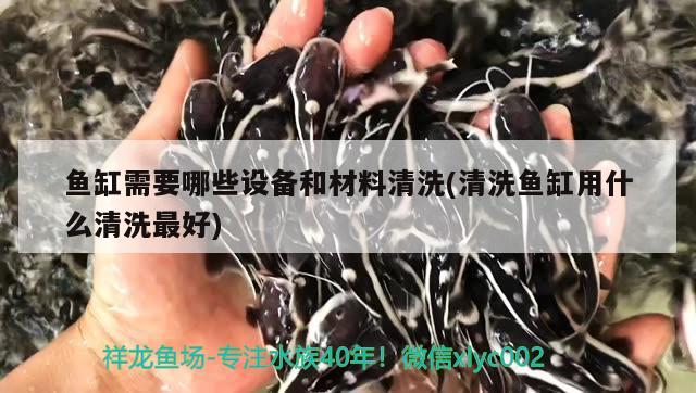 热带鱼鱼缸加热棒忘记了插了怎么办(加热棒不用了要从鱼缸里拿出来吗)