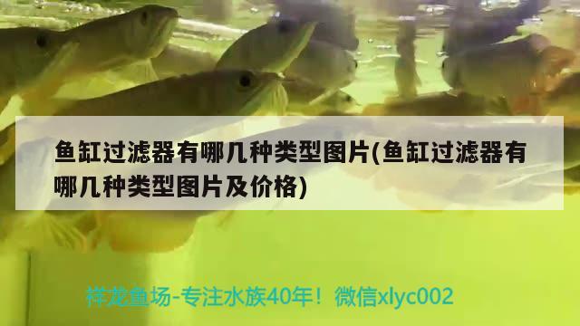 伊罕水泵缺点:伊罕气泵怎么样