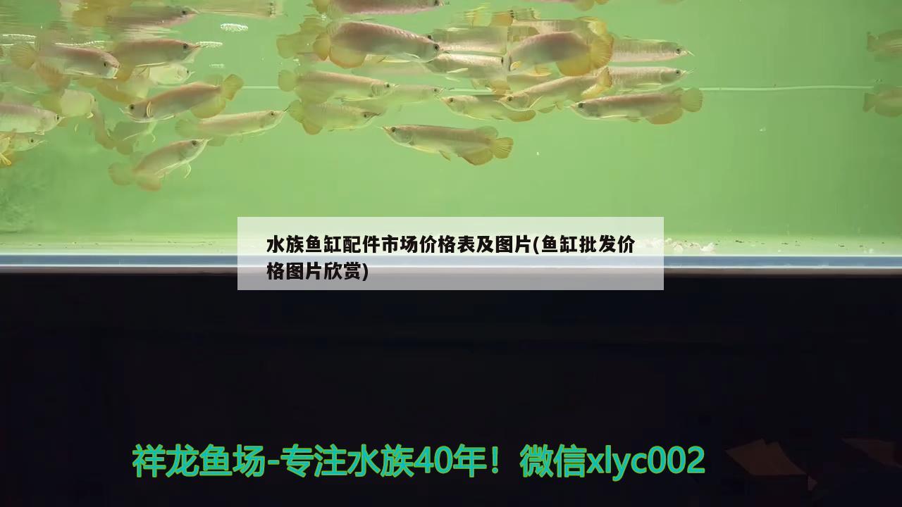 水族鱼缸配件市场价格表及图片(鱼缸批发价格图片欣赏)