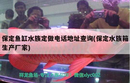 保定鱼缸水族定做电话地址查询(保定水族箱生产厂家) 鱼缸/水族箱