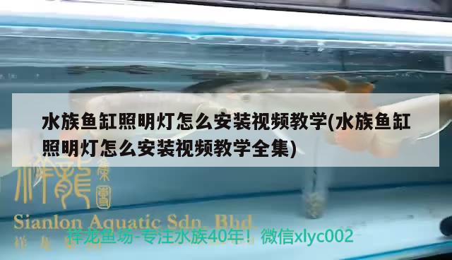 水族鱼缸照明灯怎么安装视频教学(水族鱼缸照明灯怎么安装视频教学全集)