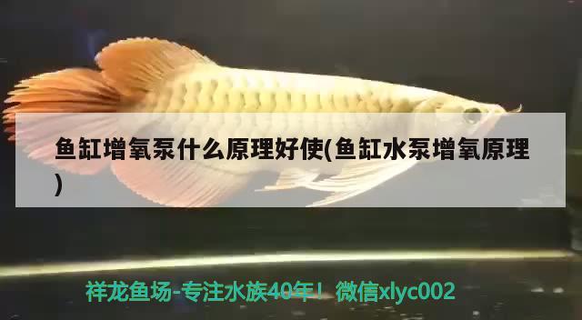 鱼缸增氧泵什么原理好使(鱼缸水泵增氧原理) 鱼缸水泵