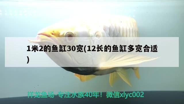 1米2的鱼缸30宽(12长的鱼缸多宽合适) 申古三间鱼 第1张