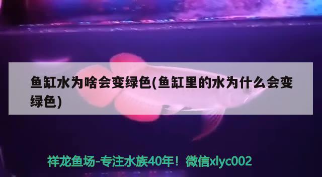 宜春龙鱼日化科技有限公司招聘电话地址（宜春龙鱼日化科技有限公司招聘电话地址是多少）