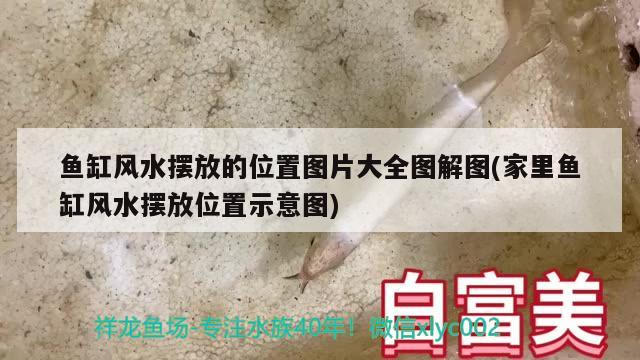 鱼缸风水摆放的位置图片大全图解图(家里鱼缸风水摆放位置示意图) 鱼缸风水