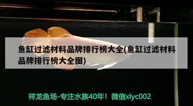 鱼缸过滤材料品牌排行榜大全(鱼缸过滤材料品牌排行榜大全图)