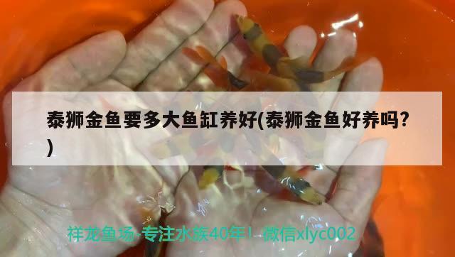 三间鼠鱼吃什么饲料（三间鼠鱼和什么鱼混养） 三间鼠鱼 第3张