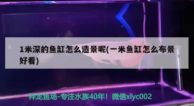 抚顺市新抚大伟观赏鱼经销店 全国水族馆企业名录 第2张