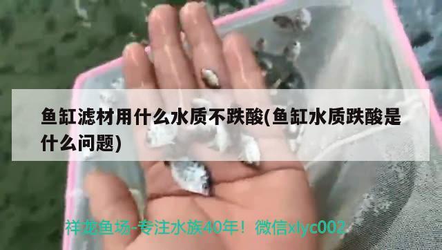 鱼缸滤材用什么水质不跌酸(鱼缸水质跌酸是什么问题)