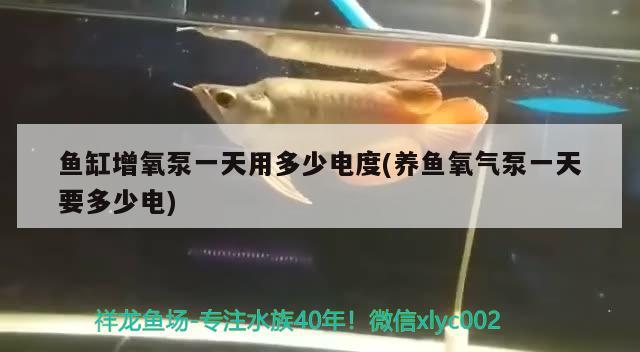 大姚怡林园水族花鸟店 全国水族馆企业名录