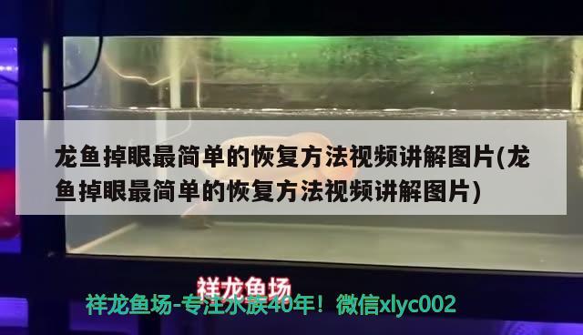 鱼缸底砂石子清洁剂有用吗视频（新手用鱼缸养鱼要买哪些东西） 黑帝王魟鱼 第1张