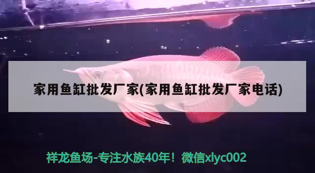 云城区洪伟水产品店 全国水族馆企业名录 第1张