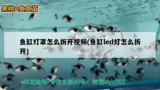 鱼缸灯罩怎么拆开视频(鱼缸led灯怎么拆开)