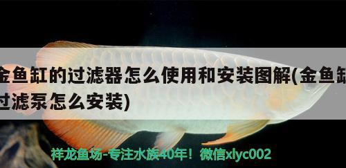 金鱼缸的过滤器怎么使用和安装图解(金鱼缸过滤泵怎么安装) 狗仔招财猫鱼